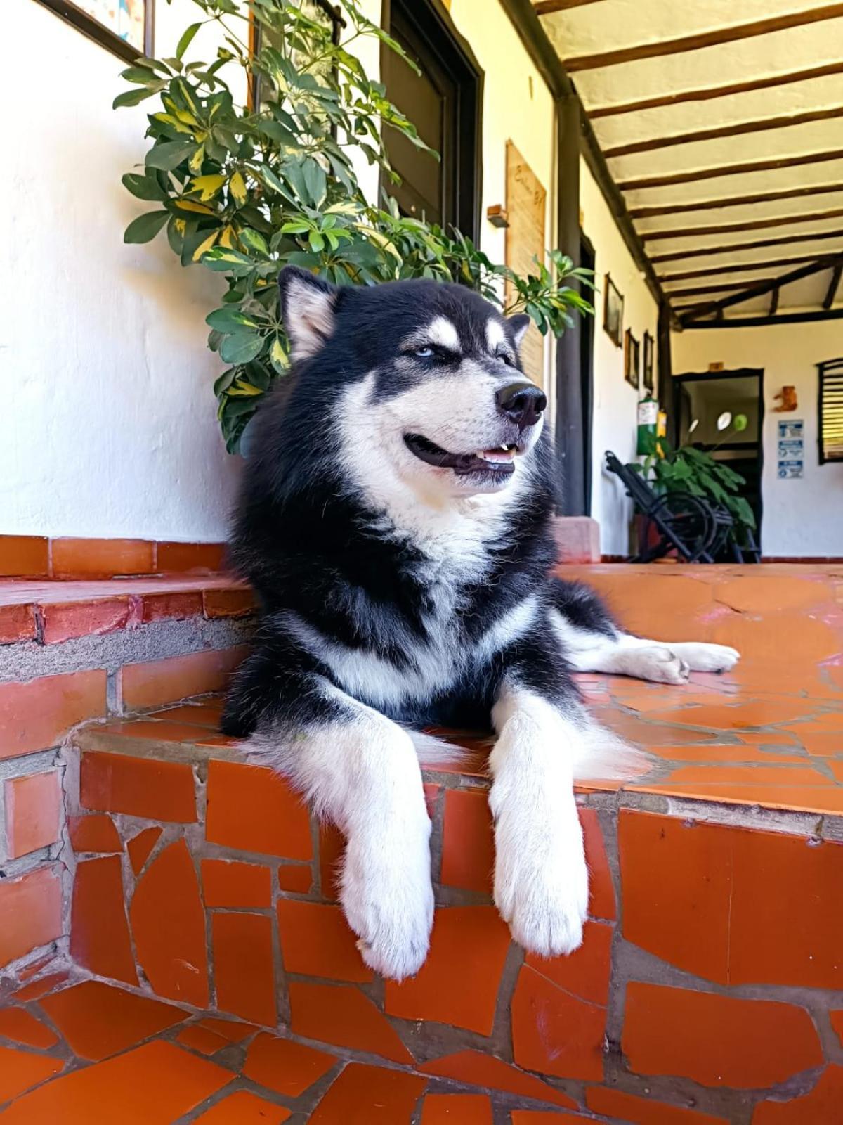Hotel Campestre Casona Del Camino Real 圣希尔 外观 照片
