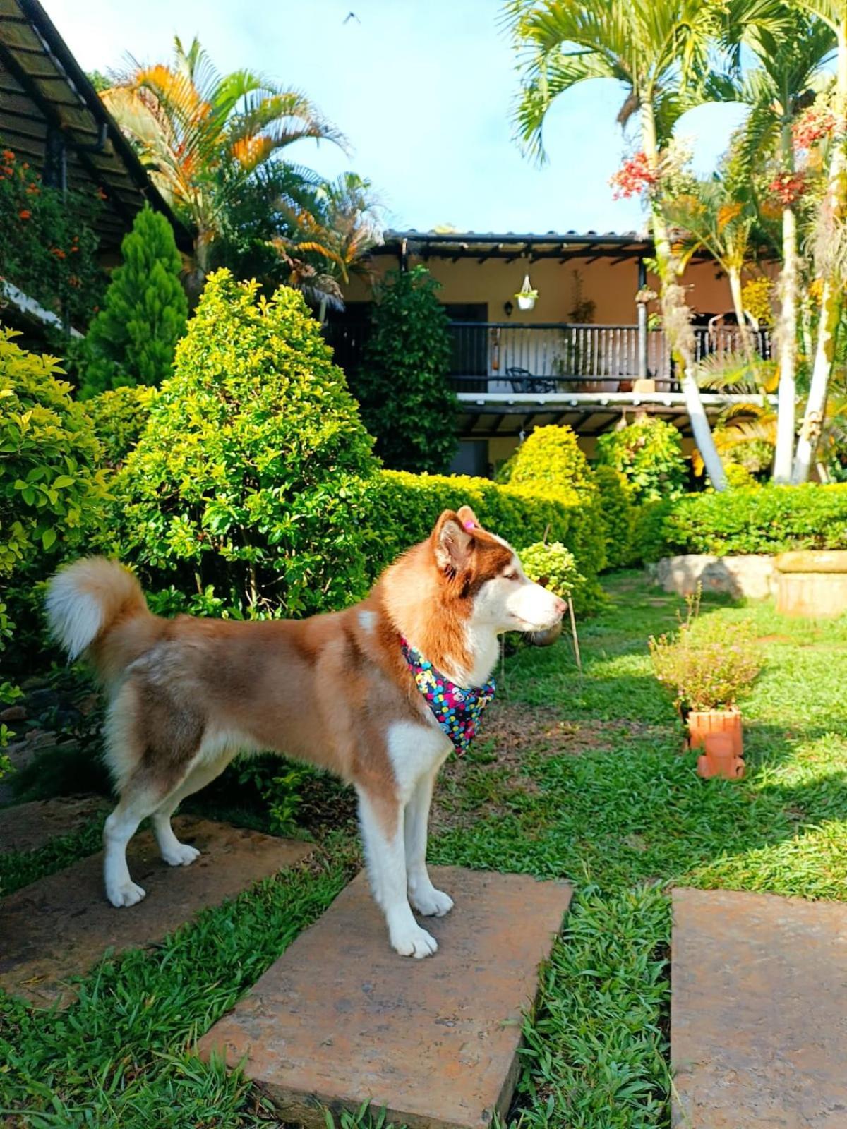 Hotel Campestre Casona Del Camino Real 圣希尔 外观 照片